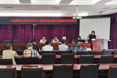 蜀能礦產(chǎn)成功競拍“正極材料”項目建設用地