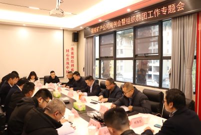 蜀能礦產(chǎn)召開周例會(huì)暨組織群團(tuán)工作專題會(huì)