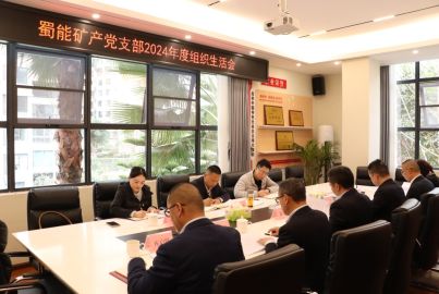 蜀能礦產(chǎn)黨支部召開2024年度組織生活會(huì)